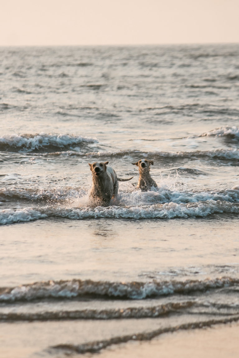 Beach photography by Aarati Kulkarni