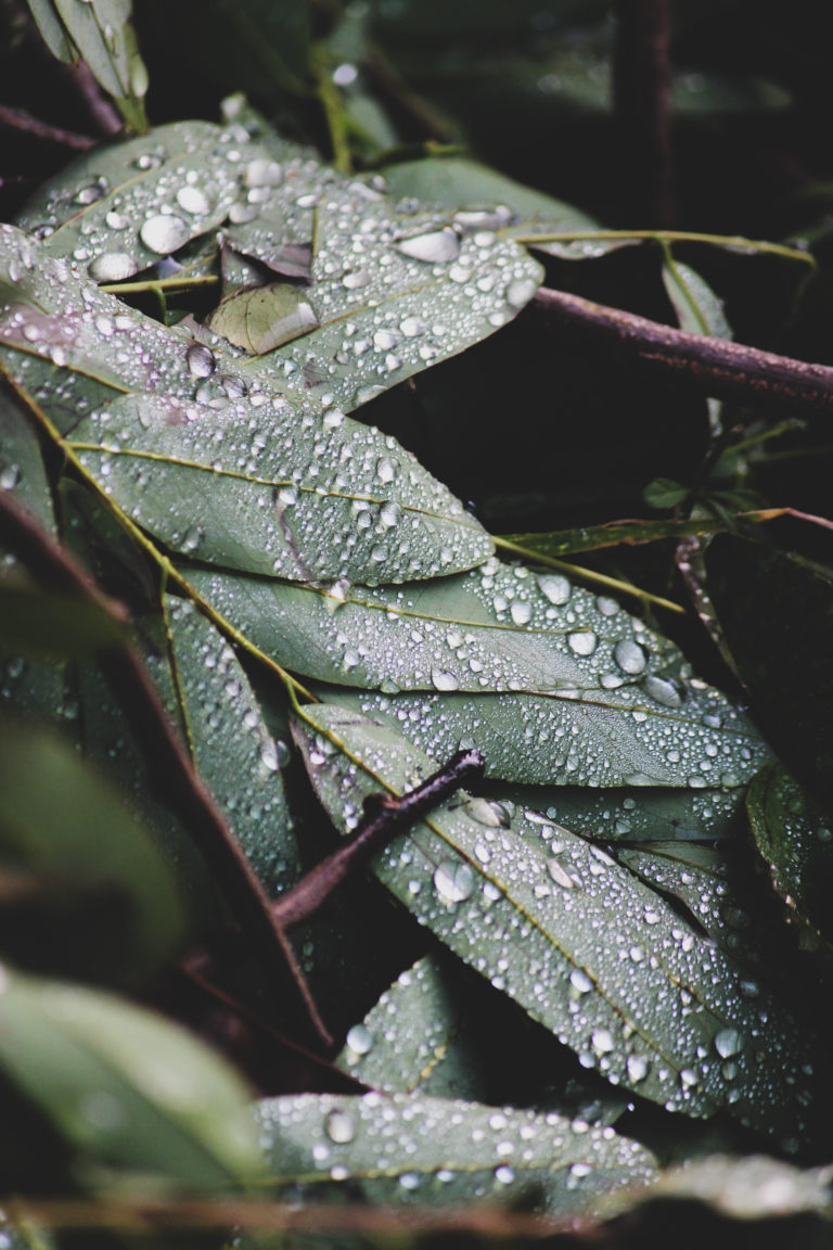 Water photography by Aarati Kulkarni