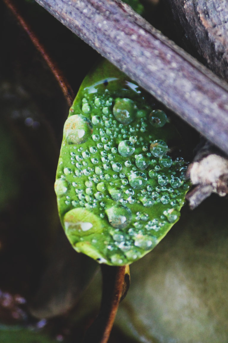 Water photography by Aarati Kulkarni